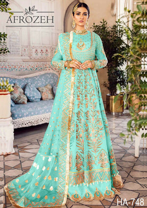 Pakistani and Indian Dress
